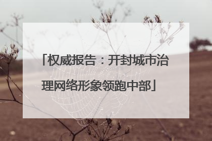 权威报告：开封城市治理网络形象领跑中部