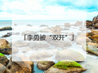 李勇被“双开”