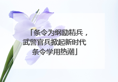 条令为纲励精兵，武警官兵掀起新时代条令学用热潮