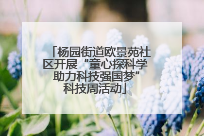 杨园街道欧景苑社区开展“童心探科学 助力科技强国梦”科技周活动