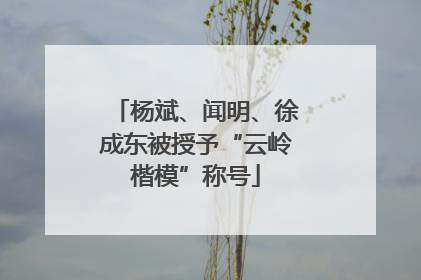 杨斌、闻明、徐成东被授予“云岭楷模”称号