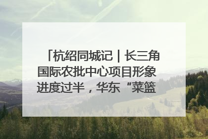 杭绍同城记｜长三角国际农批中心项目形象进度过半，华东“菜篮子”建设加码提速！