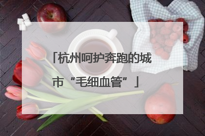 杭州呵护奔跑的城市“毛细血管”