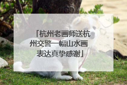 杭州老画师送杭州交警一幅山水画 表达真挚感谢