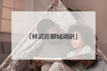 林武在聊城调研