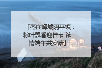 枣庄峄城阴平镇：粽叶飘香迎佳节 浓情端午共安康