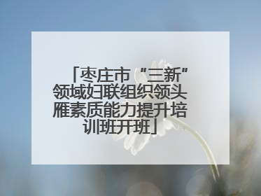 枣庄市“三新”领域妇联组织领头雁素质能力提升培训班开班