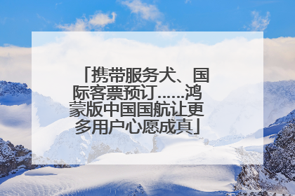 携带服务犬、国际客票预订……鸿蒙版中国国航让更多用户心愿成真