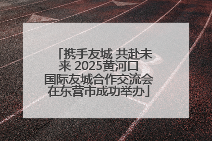 携手友城 共赴未来 2025黄河口国际友城合作交流会在东营市成功举办