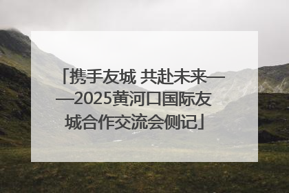 携手友城 共赴未来——2025黄河口国际友城合作交流会侧记