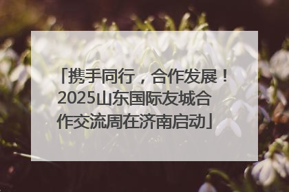 携手同行，合作发展！2025山东国际友城合作交流周在济南启动