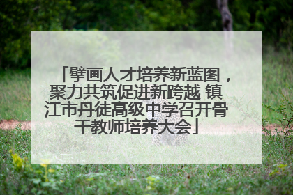 擘画人才培养新蓝图，聚力共筑促进新跨越 镇江市丹徒高级中学召开骨干教师培养大会
