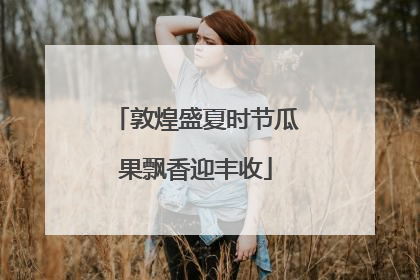 敦煌盛夏时节瓜果飘香迎丰收