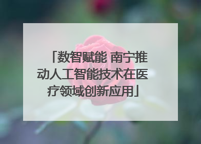数智赋能 南宁推动人工智能技术在医疗领域创新应用