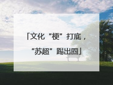 文化“梗”打底，“苏超”踢出圈