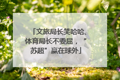文旅局长笑哈哈、体育局长不委屈，“苏超”赢在球外