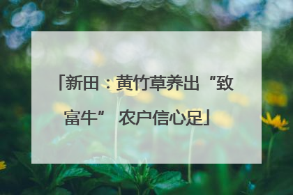 新田：黄竹草养出“致富牛” 农户信心足