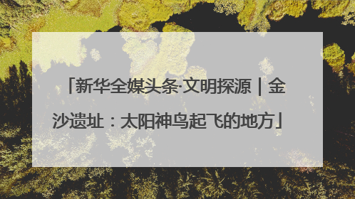 新华全媒头条·文明探源｜金沙遗址：太阳神鸟起飞的地方