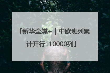 新华全媒+｜中欧班列累计开行110000列