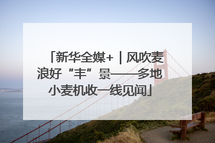 新华全媒+｜风吹麦浪好“丰”景——多地小麦机收一线见闻
