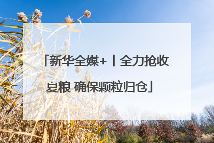 新华全媒+丨全力抢收夏粮 确保颗粒归仓