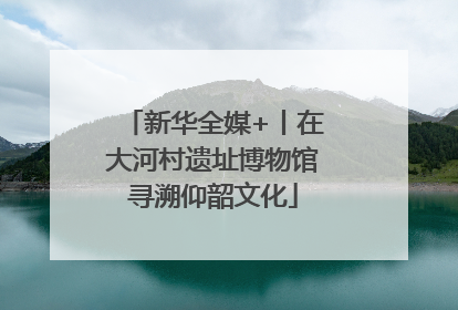 新华全媒+丨在大河村遗址博物馆寻溯仰韶文化