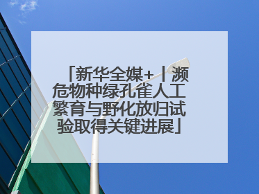 新华全媒+丨濒危物种绿孔雀人工繁育与野化放归试验取得关键进展