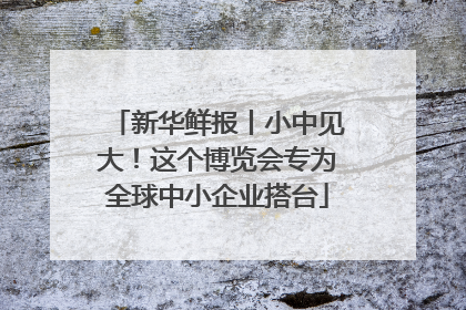 新华鲜报丨小中见大！这个博览会专为全球中小企业搭台