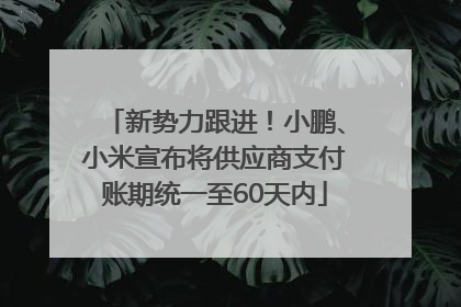 新势力跟进！小鹏、小米宣布将供应商支付账期统一至60天内