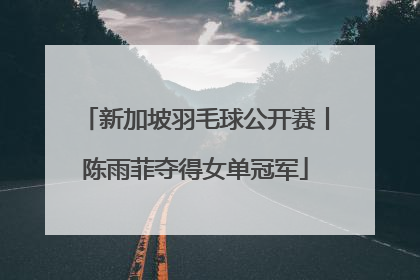 新加坡羽毛球公开赛丨陈雨菲夺得女单冠军