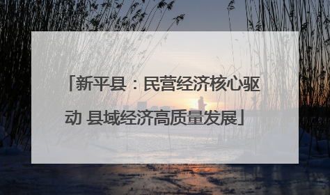 新平县：民营经济核心驱动 县域经济高质量发展