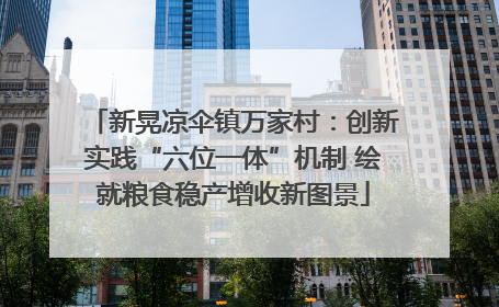 新晃凉伞镇万家村：创新实践“六位一体”机制 绘就粮食稳产增收新图景