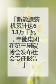 新能源装机累计达613万千瓦，申能集团在第三届碳博会发布社会责任报告