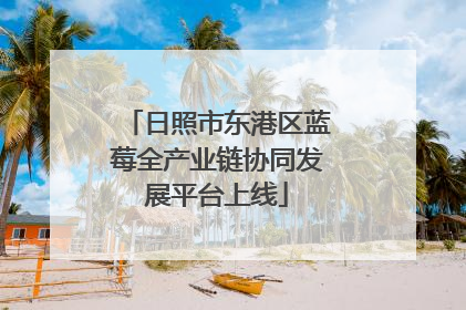 日照市东港区蓝莓全产业链协同发展平台上线