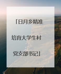 日月乡精准培育大学生村党支部书记