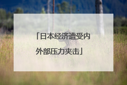 日本经济遭受内外部压力夹击