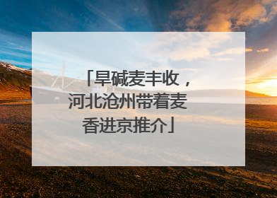 旱碱麦丰收，河北沧州带着麦香进京推介