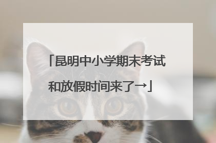昆明中小学期末考试和放假时间来了→