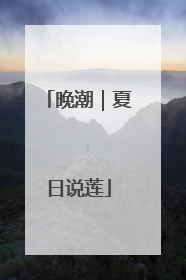 晚潮｜夏日说莲