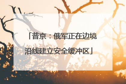 普京：俄军正在边境沿线建立安全缓冲区