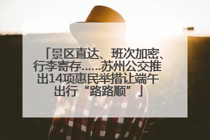 景区直达、班次加密、行李寄存……苏州公交推出14项惠民举措让端午出行“路路顺”