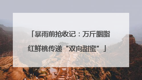 暴雨前抢收记：万斤胭脂红鲜桃传递“双向甜蜜”