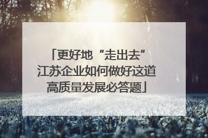 更好地“走出去” 江苏企业如何做好这道高质量发展必答题