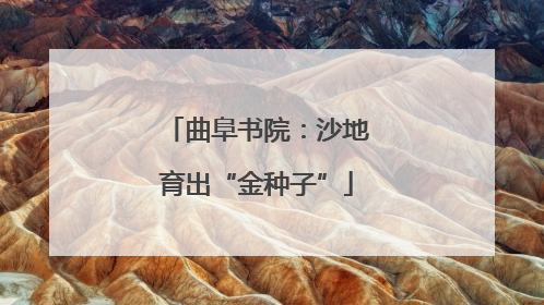 曲阜书院：沙地育出“金种子”