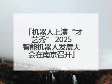 机器人上演“才艺秀” 2025智能机器人发展大会在南京召开