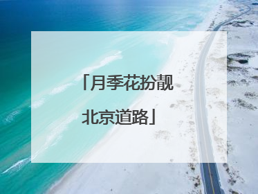 月季花扮靓北京道路