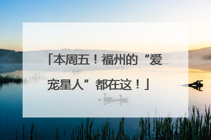 本周五！福州的“爱宠星人”都在这！