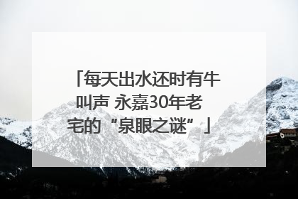 每天出水还时有牛叫声 永嘉30年老宅的“泉眼之谜”