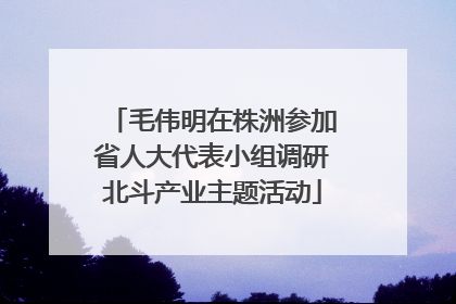 毛伟明在株洲参加省人大代表小组调研北斗产业主题活动