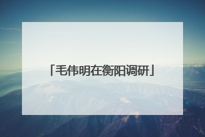 毛伟明在衡阳调研